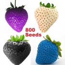 Strawberries Purple Blue Black White Mixed Colored Strawberry Garden 800+ seeds