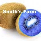 Purple Kiwi Hard To Locate Sweet Juicy Fruit  Food 25+ seeds