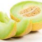 Honeydew Melon Sweet Honey Dew Garden Fresh Green Fruit Planting 25+ seeds