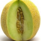 Galia Melon Sweet Juicy Taste Usa Farm  Fruit 25+ seeds