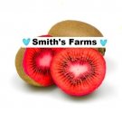 Red Kiwi Hard To Locate Sweet Juicy Fruit  Food 25+ seeds