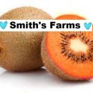 Orange Kiwi Hard To Locate Sweet Juicy Fruit  Food 25+ seeds