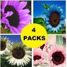 Colored Sunflowers Purple Blue White Pink Sun Flowers Garden 200 seeds