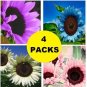 Colored Sunflowers Purple Blue White Pink Sun Flowers Garden 200 seeds
