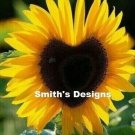 Heart Shaped Sunflowers Huge Sunflower Garden Large Flowers Floral 50 seeds