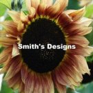 Light Brown Sunflowers Huge Planting Sunflower Garden Large Flowers 50+ seeds