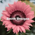 Pink Sunflowers Huge Planting Sunflower Garden Large Flowers 50+ seeds