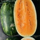 Juicy Orange Watermelon Usa Large Summer Time  Fruit 15 seeds