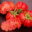 Mexican Ribbed Tomato Solanum Lycopersicum Zapotec Pleated Heirloom 50+ seeds