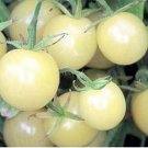 Cherry White Tomato  Heirloom Planting Tomatoes 50+ seeds