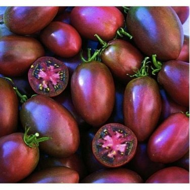 Purple Heirloom Tomato   Garden Planting Tomatoes Food 50+ seeds