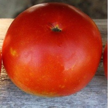 Basrawya Tomato  Garden Planting Tomatoes 50+ seeds