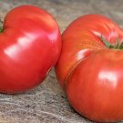 Basket Vee Tomato  Garden Planting Tomatoes Food Large 50+ seeds