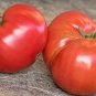 Basket Vee Tomato  Garden Planting Tomatoes Food Large 50+ seeds