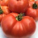 Box Car Willie Tomato  Garden Planting Tomatoes Boxcar 50+ seeds
