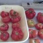 Bali Tomato Garden Planting Tomatoes Food 50+ seeds