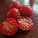 Baby Cakes Tomato Garden Planting Tomatoes Food 50+ seeds