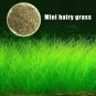 Aquarium Plant Seed Fish Tank Aquatic Water Grass mini hairy