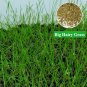 Aquarium Plant Seed Fish Tank Aquatic Water Grass big hairy leaf