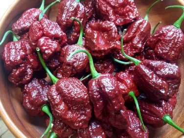 Heirloom Pepper Seeds - Many Unusual Varieties - One Shipping Charge
