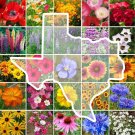 Wildflower TEXAS State Flower Mix Perennials & Annuals USA NonGMO 1000 Seeds