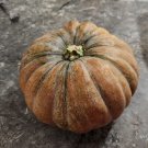 Seeds from Puerto Rico, Organic, NONGMO, Sofrito, garden, hydroponic, aji dulce