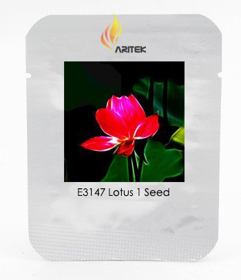 Heirloom Super Red Nelumbo Nucifera Lotus Flower Bonsai Seeds, Professional Pack, 1 Seed