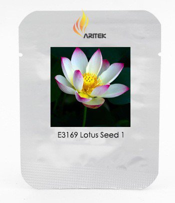 New Wild White Red Lotus Flower Seeds, Professional Pack, 1 Seed / Pack