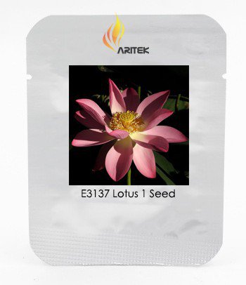 New Rare Blood Red Indonesia Lotus Flower Seeds, Professional Pack, 1 Seed
