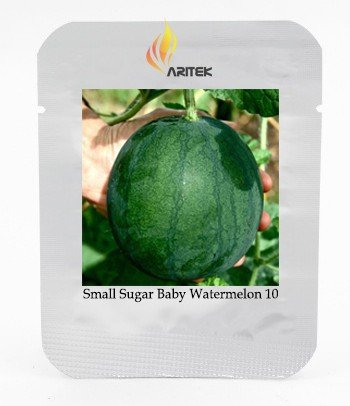 Organic Heirloom Small Sugar Baby Watermelon Citrullus Lanatus Seeds, Professional Pack, 10 Seeds