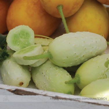 Practical NEW Seeds Cucumber Bilyy Anhel-White Angel Organic Vegetable  20 Seeds