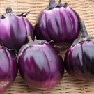 BELLFARM Eggplant Violet Colors with White Streaks Vegetable Seeds, 100 seeds