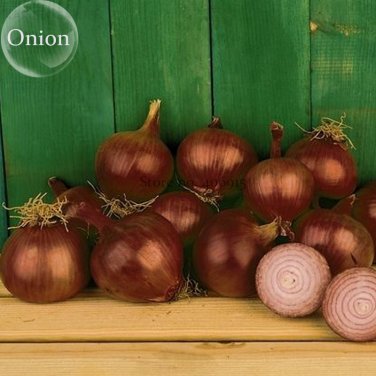 Red Creole Onion Vegetables, 100 Seeds