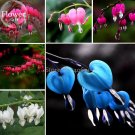 Dicentra Spectabilis Mixed Bleeding Heart Seeds, 5 seeds
