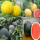 Yellow / Black Skin Watermelon with red meat, 20 seeds Organic juicy sweet big melon E3741