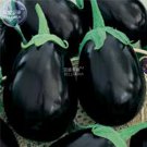 BELLFARM Eggplant Black Big Vegetables Seeds, 100 seeds
