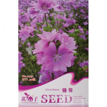 30 seeds / pack, HOLLYHOCK MALLOW MYSTIC MERLIN BEAUTIFUL HARDY PERENNIAL SPECIES