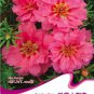100 seeds / pack, Pink Portulaca Grandiflora Seeds Homegrown Moss Rose Sun Plant Flowers