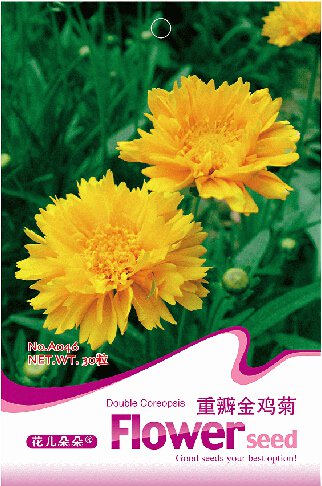30 seeds / pack, Yellow Coreopsis Sunray Lance Leaf