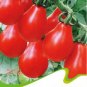 20 seeds / pack, Red Pear Cherry Tomato, Edible Organic Tomatoes