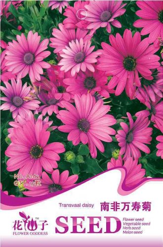 50 seeds / pack, Fresh Garlic Chives Seeds Allium Tuberosum Chinese Chives, Chinese Leek