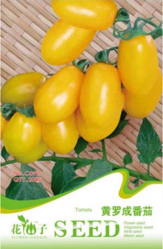 20 seeds / pack, Roma Yellow Little Tomato Plant, Organic Edible Tomato, Non-gmo seeds
