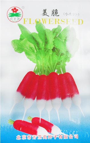 2g Seeds Red Crisp Radish Early Maturity Turnip Fast Growing Chinese Heirloom Organic Vegetable