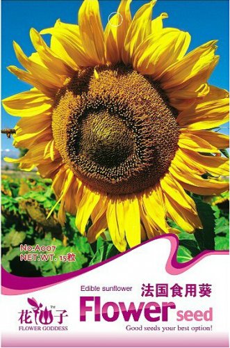 15 seeds  Edible Sunflower Seeds Polly Seeds
