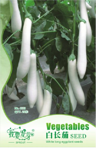 20 Seeds  Long White Eggplants Organic Heirloom Vegetables Seeds