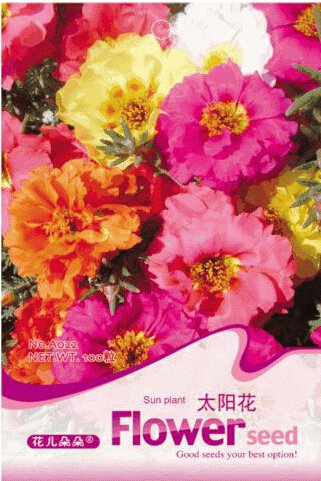 100 seeds  Mix PORTULACA Grandiflora MOSS ROSE Flower Seeds