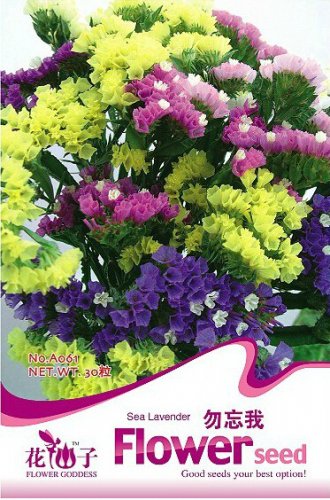 30 Seeds  Mix Midnight Statice Limonium sinuata Seeds