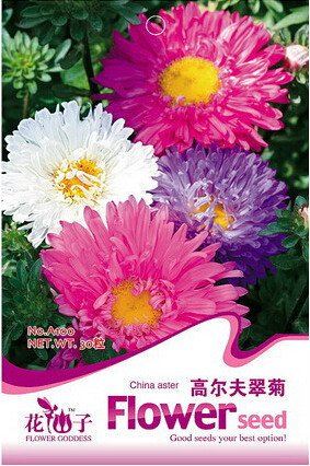 30 Seeds  POWDER PUFF ASTER MIX Callistephus Chinensis Flower Seeds
