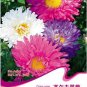 30 Seeds  POWDER PUFF ASTER MIX Callistephus Chinensis Flower Seeds