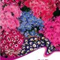 30 Seeds  Cineraria Hybrida Royalty Mixed Flower Annual Shade Loving or Indoor